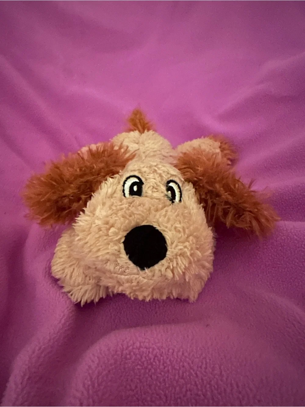 Plush Puppy